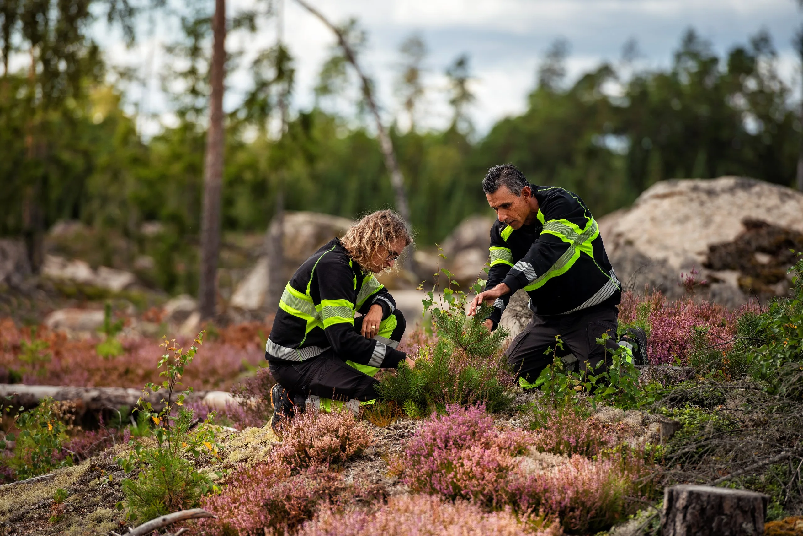 Sveaskog makes health an everyday occurrence – with health exams for everyone